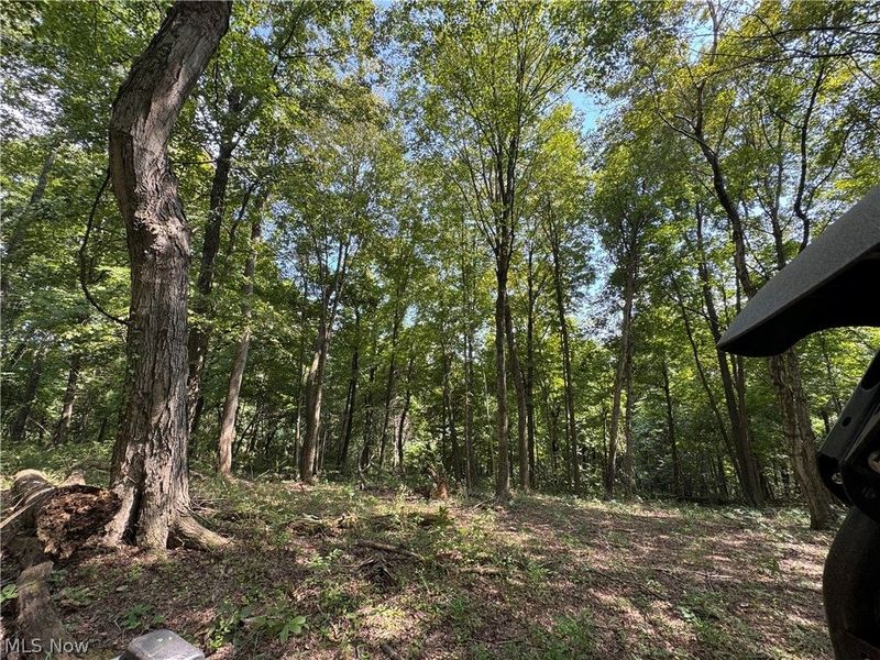 1475 St Rte 124, Coolville, OH 45723 Photo 44