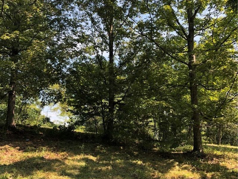 1475 St Rte 124, Coolville, OH 45723 Photo 6