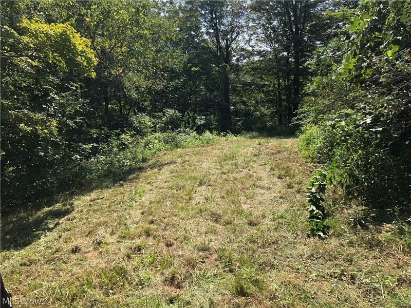 1475 St Rte 124, Coolville, OH 45723 Photo 8