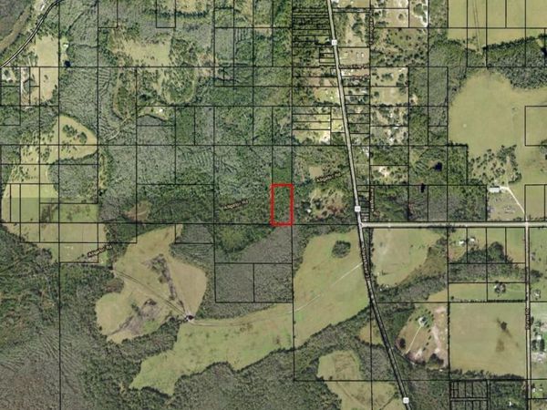 0 Alligator Rd, Clermont, FL 33868