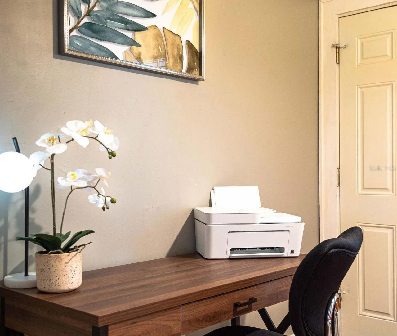 1013 22nd Avenue N, Saint Petersburg, FL 33704 Photo