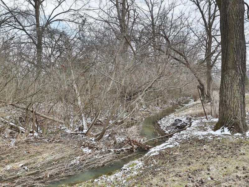 4677 Harrisburg Pike, Grove City, OH 43123 Photo 55