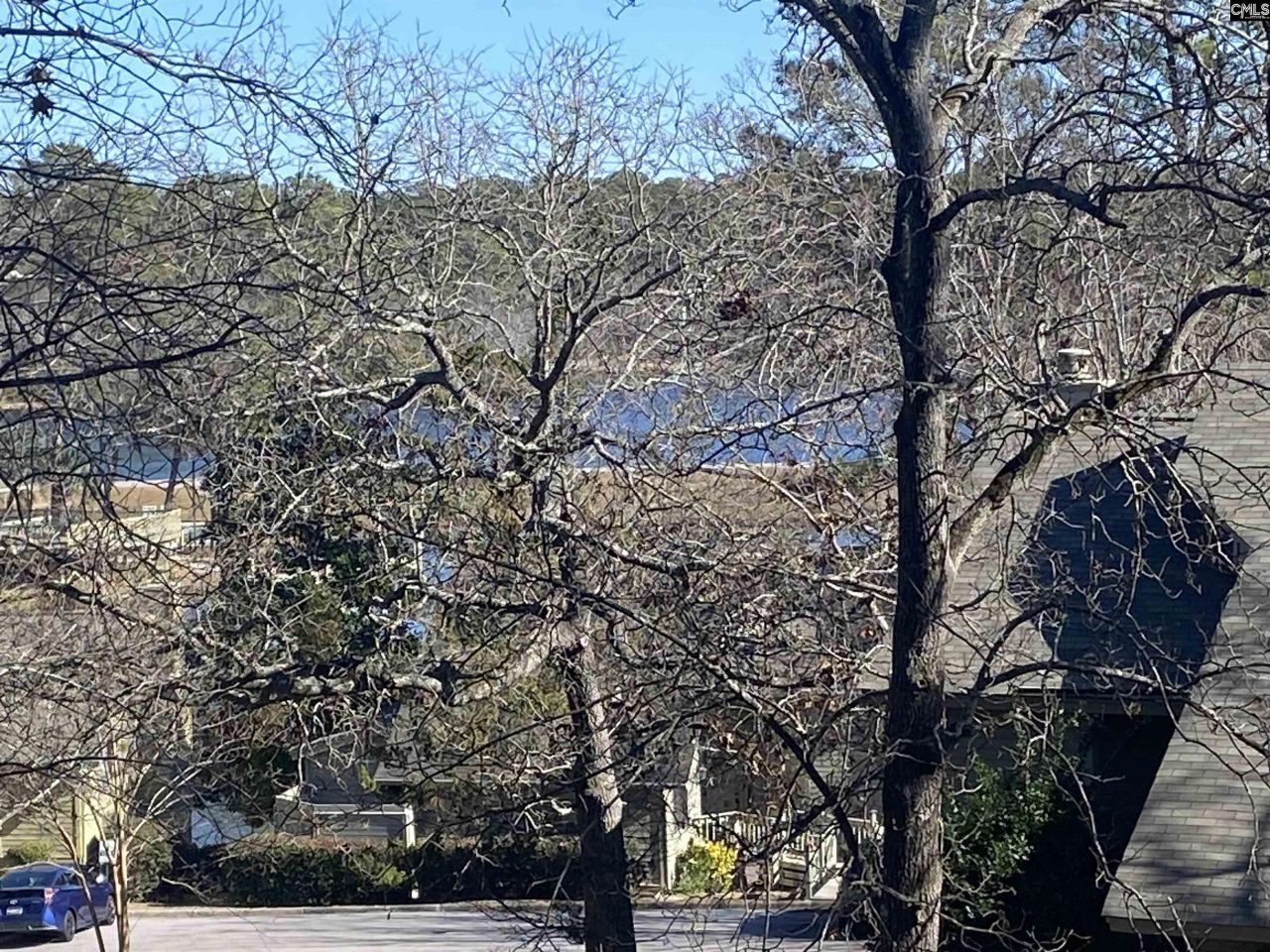 96 Ligustrum Lane Photo 15