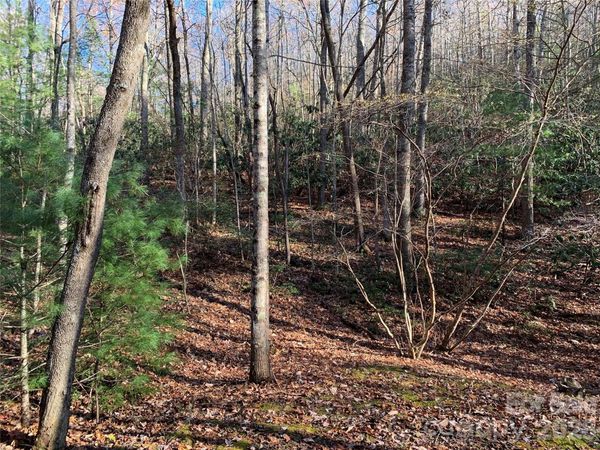 TBD (Lot 1) Dugger Firetower Road , Lenoir, NC 28645