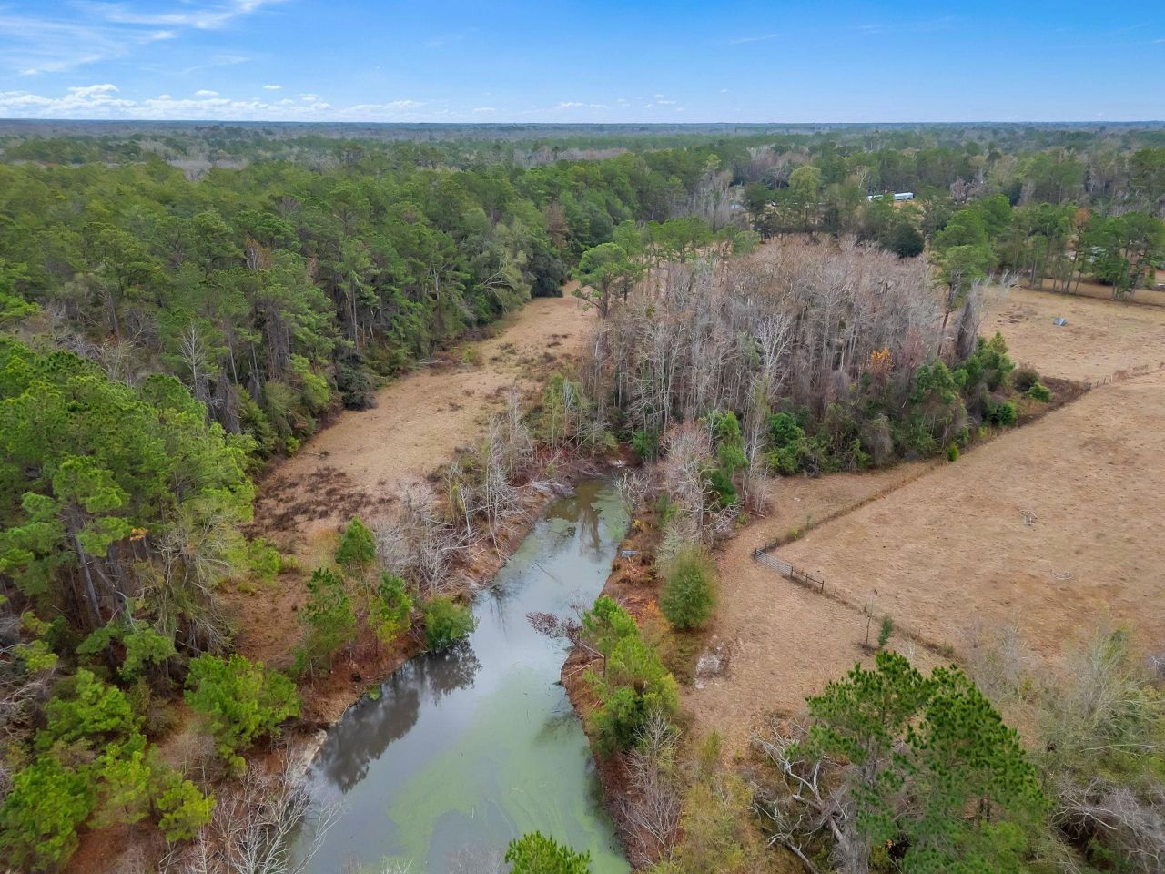 701 N Barber Hill, Lamont, FL 32336 Photo