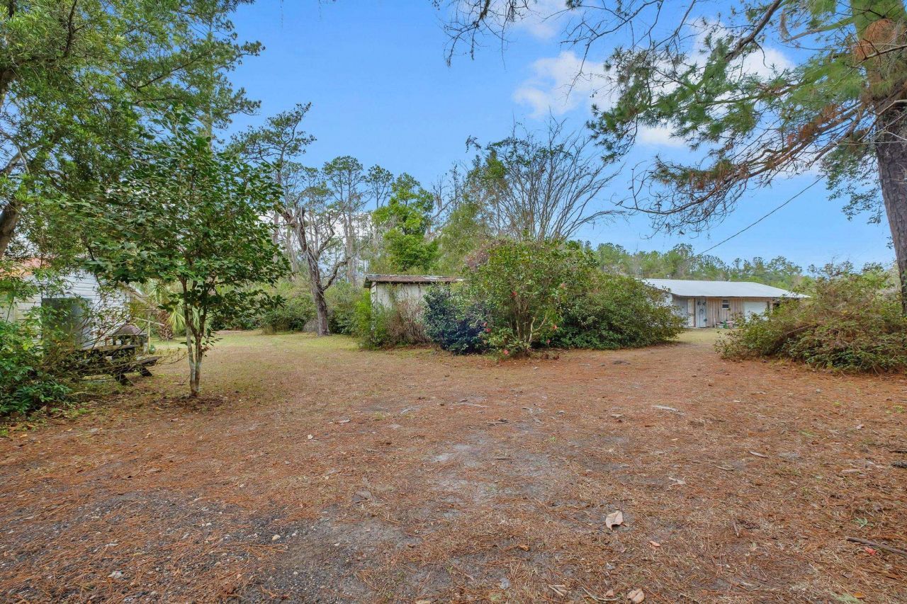 701 N Barber Hill, Lamont, FL 32336 Photo