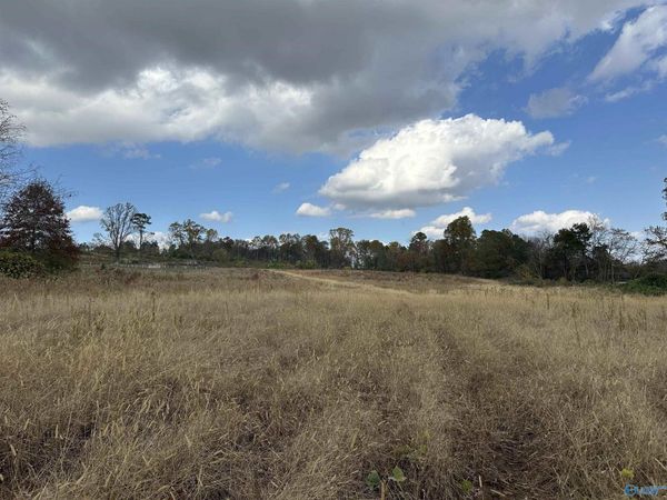 17.5 Acres Burwell Road, Harvest, AL 35749