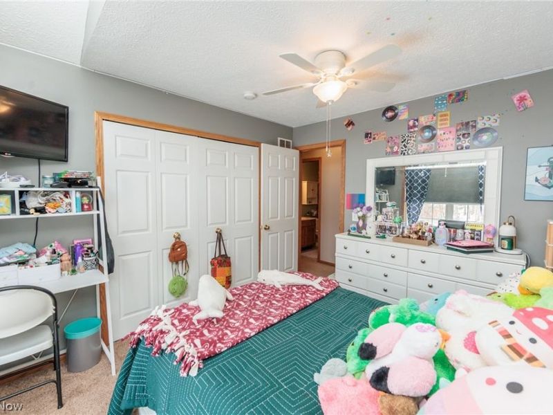 76 Forest Mill Lane, Green, OH 44319 Photo 32