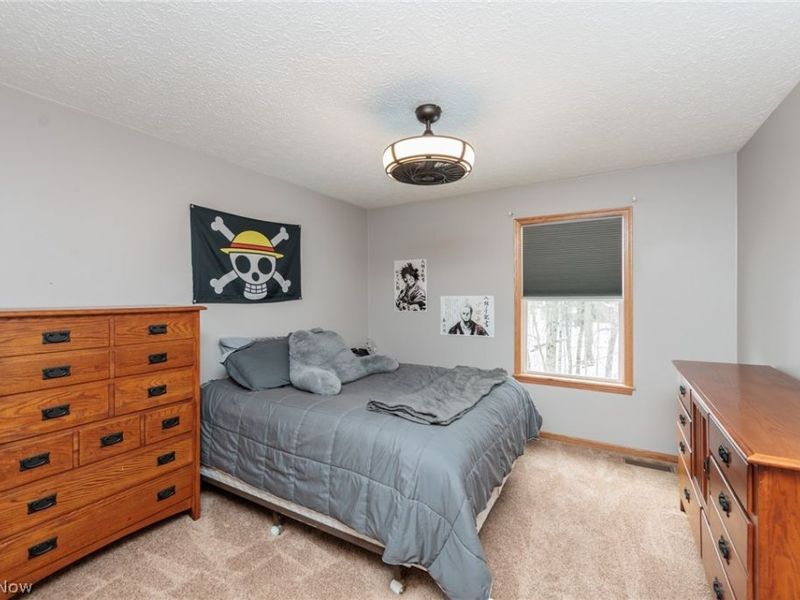 76 Forest Mill Lane, Green, OH 44319 Photo 33