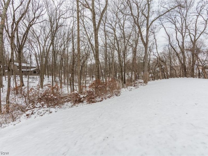 76 Forest Mill Lane, Green, OH 44319 Photo 49