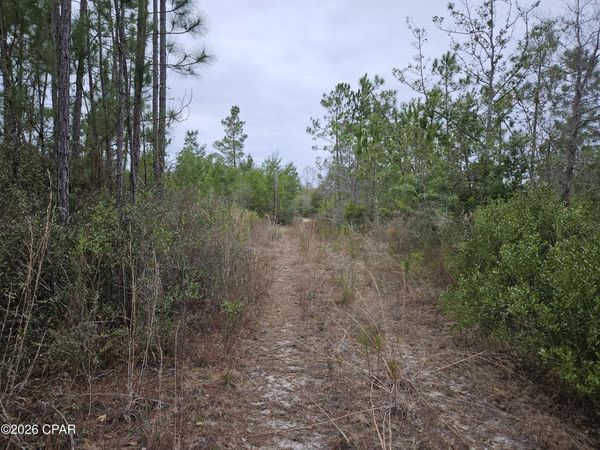 0000 Singer, Youngstown, FL 32466