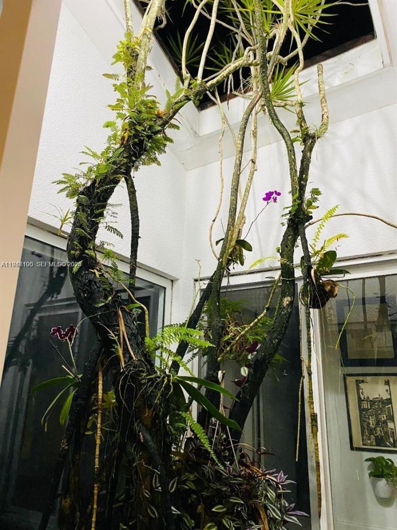 1460 Tagus Ave, Coral Gables, FL 33156 Photo