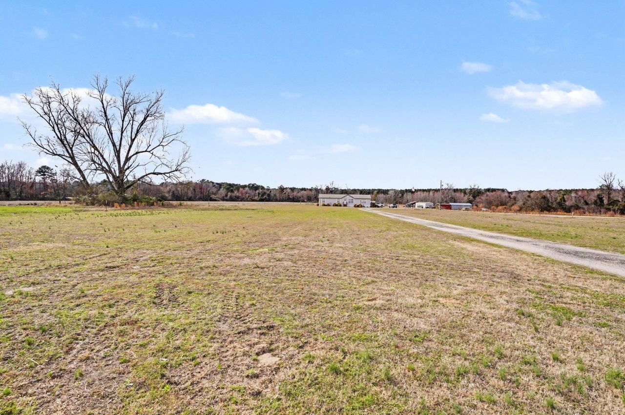 1619 Grain Bin Rd.  Photo 4