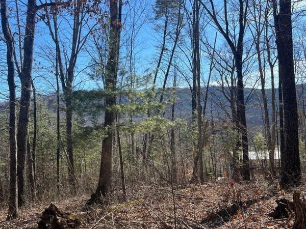 1012 Country Mountain Road, Cosby, TN 37722