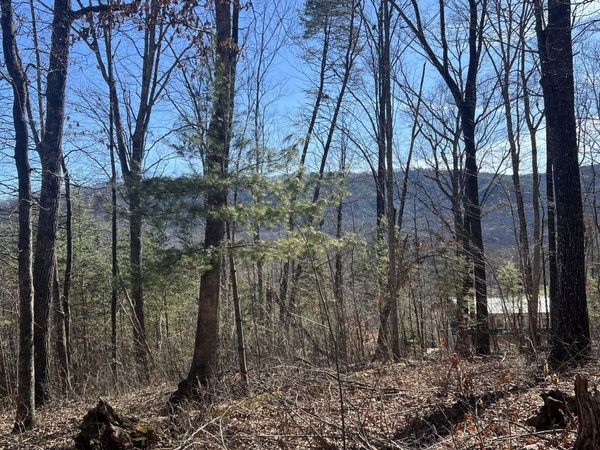 1008 Country Mountain Road, Cosby, TN 37722