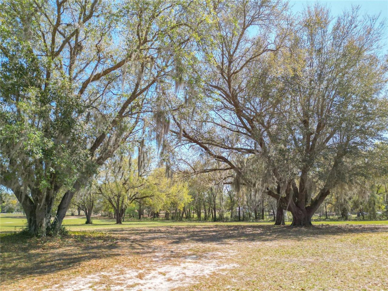 295 Locust Pass, Ocala, FL 34472 Photo