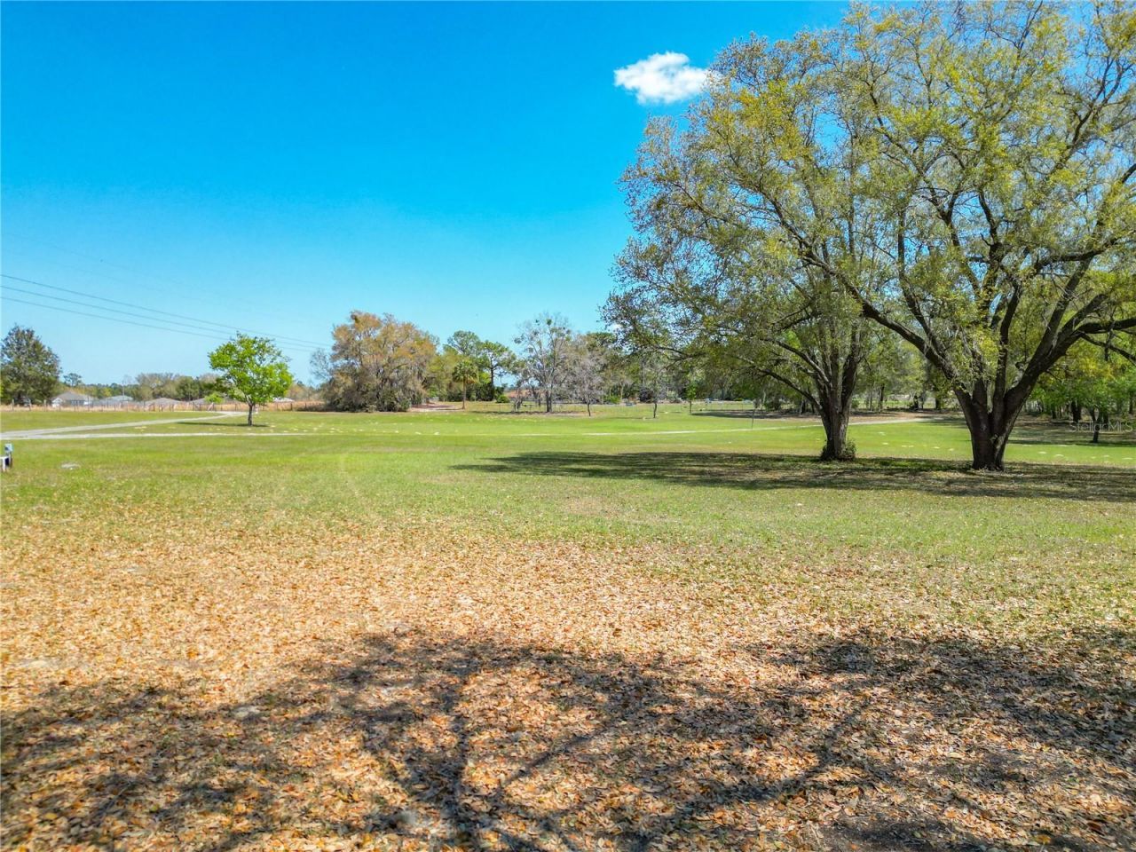 295 Locust Pass, Ocala, FL 34472 Photo