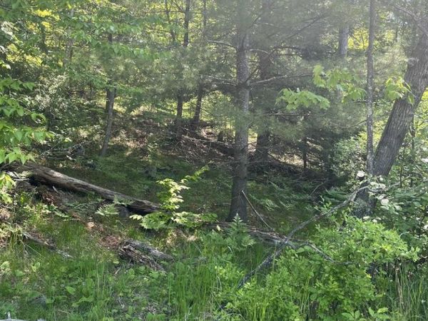 LAKE JOHN ROAD, Lakewood, WI 54138