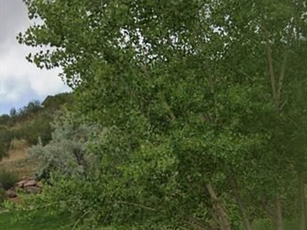 1223 Ethereal Circle, Colorado Springs, CO 80904