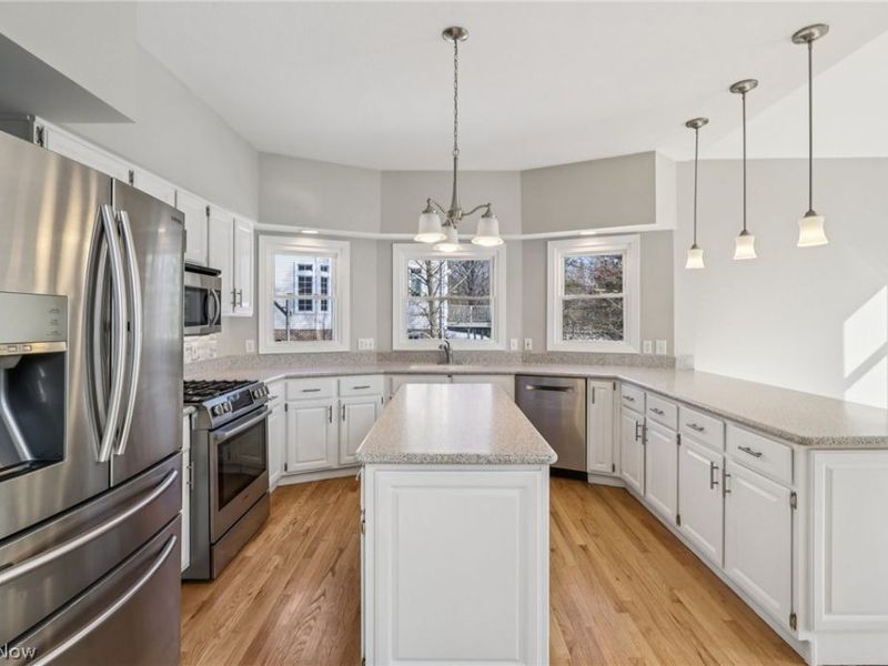 100 Blackberry Drive, Hudson, OH 44236 Photo 10