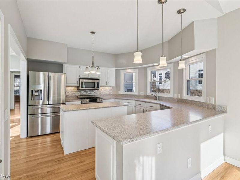 100 Blackberry Drive, Hudson, OH 44236 Photo 11