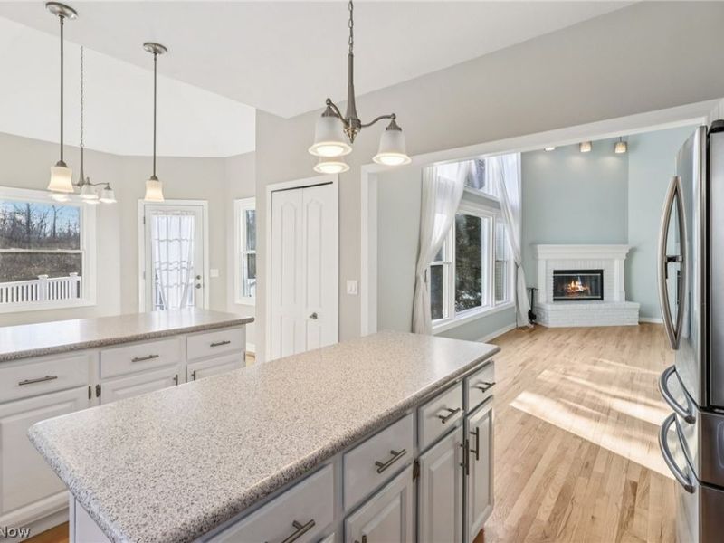 100 Blackberry Drive, Hudson, OH 44236 Photo 13