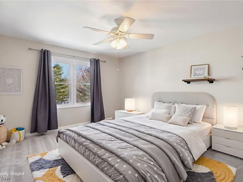 100 Blackberry Drive, Hudson, OH 44236 Photo 30