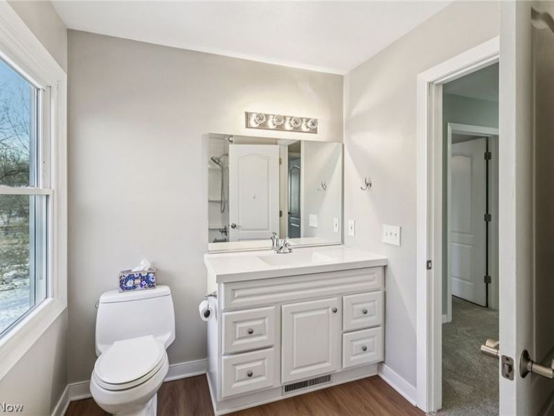 100 Blackberry Drive, Hudson, OH 44236 Photo 36