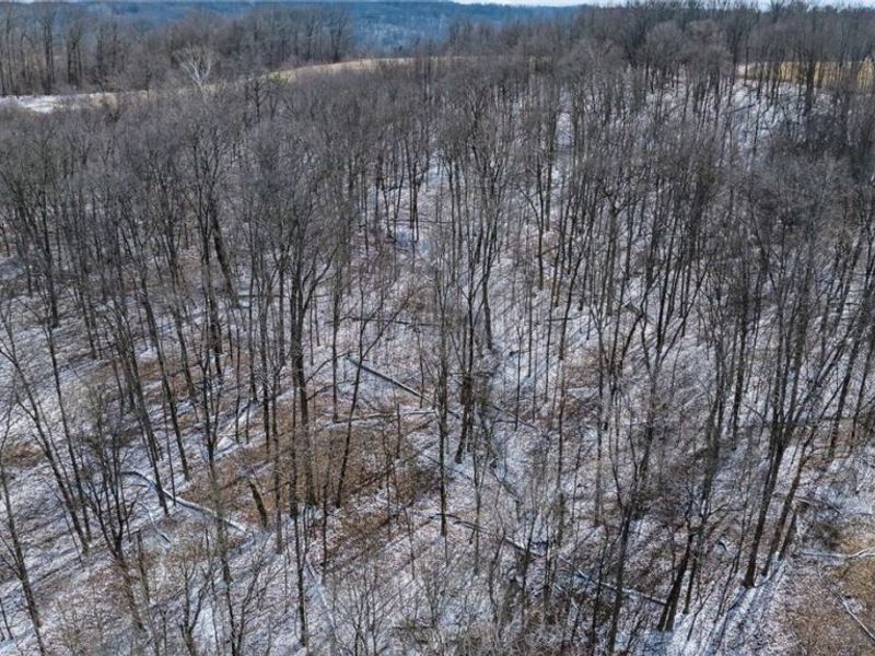 8160 Butcher Knife Road, Roseville, OH 43777 Photo 28