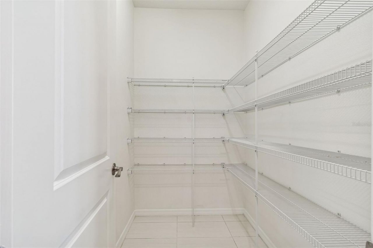 18937 Willowmore Cedar Drive, Lutz, FL 33558 Photo