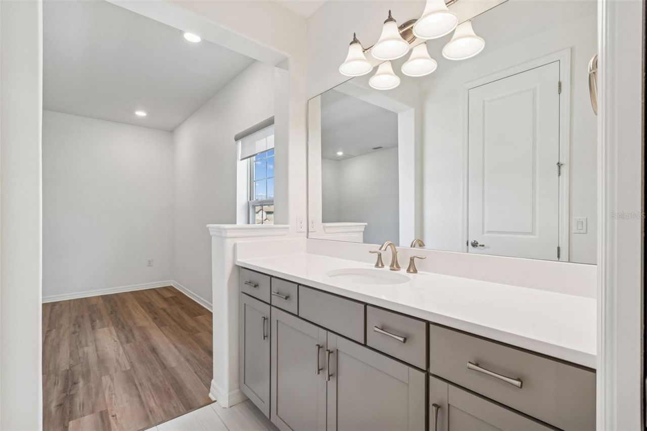 18937 Willowmore Cedar Drive, Lutz, FL 33558 Photo