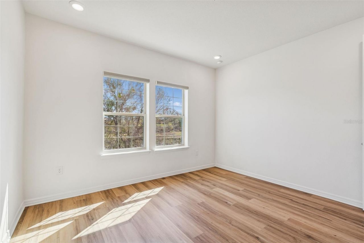 18937 Willowmore Cedar Drive, Lutz, FL 33558 Photo