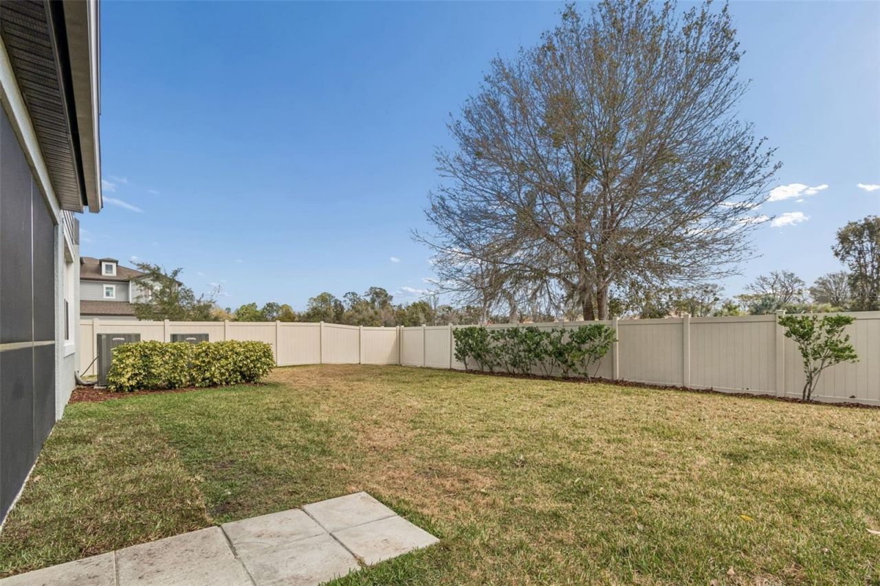 18937 Willowmore Cedar Drive, Lutz, FL 33558 Photo