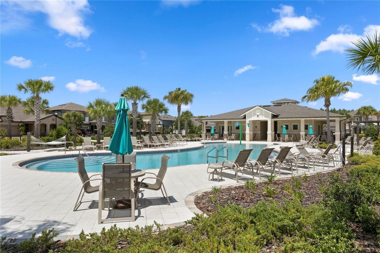 18937 Willowmore Cedar Drive, Lutz, FL 33558 Photo