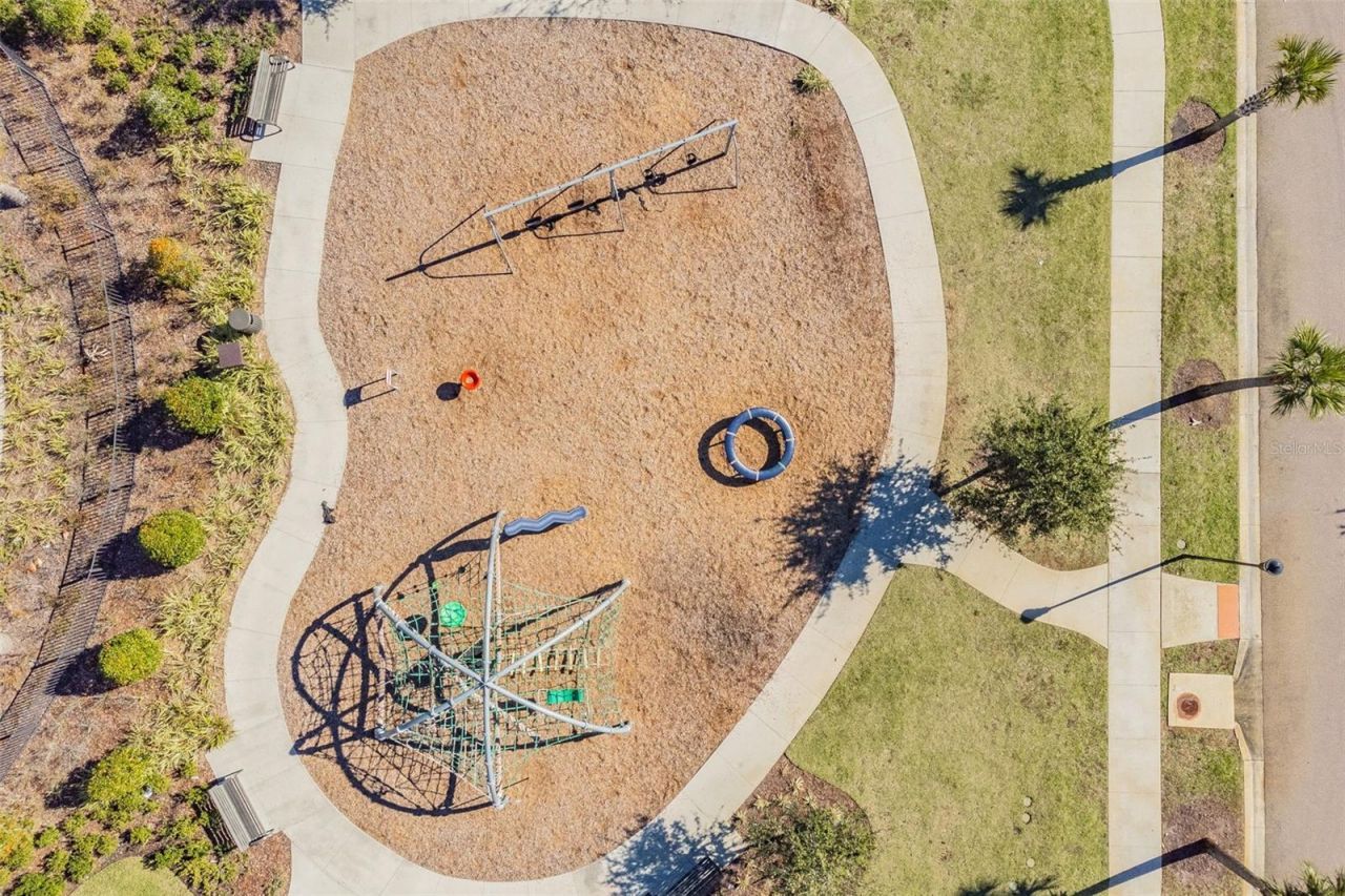 18937 Willowmore Cedar Drive, Lutz, FL 33558 Photo