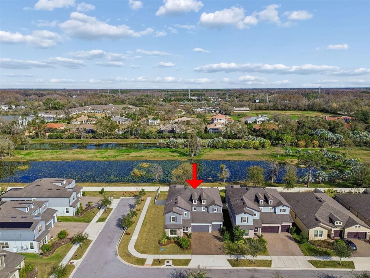 18937 Willowmore Cedar Drive, Lutz, FL 33558 Photo