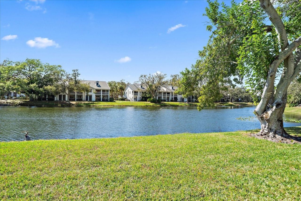 5654 Gardens Drive, Sarasota, FL 34243 Photo