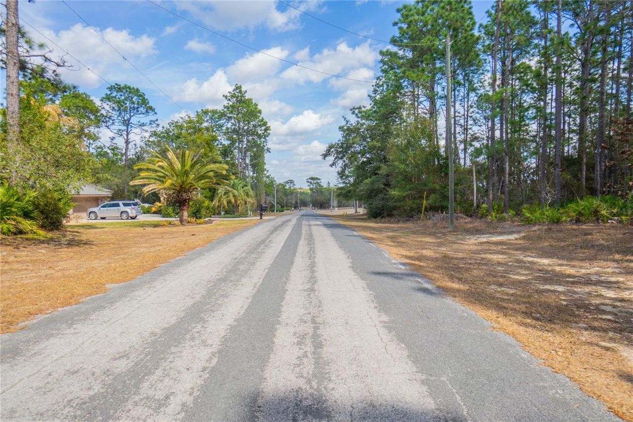 5100 N Red Ribbon Point, Beverly Hills, FL 34465 Main Photo