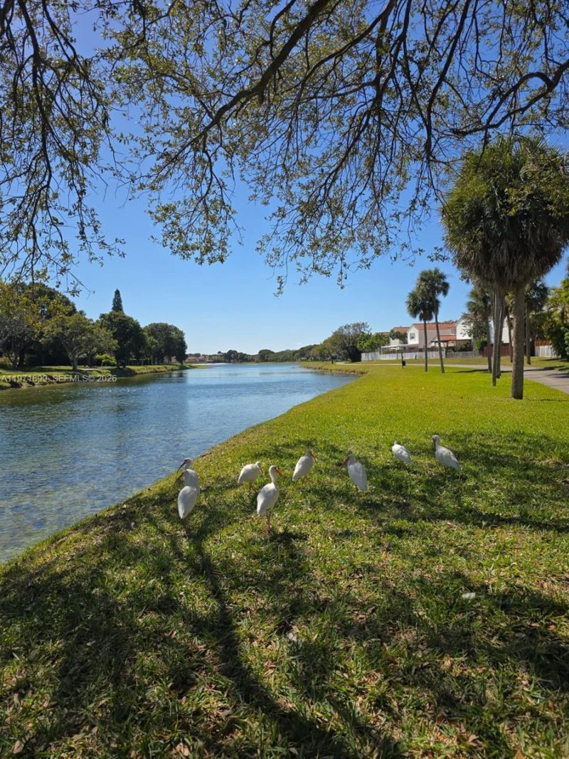 10441 Mahogany Key Cir, Unit 102, Miami, FL 33196 Photo