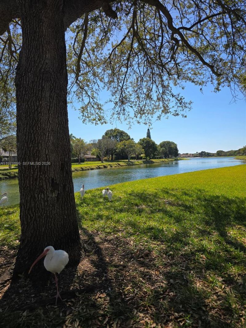 10441 Mahogany Key Cir, Unit 102, Miami, FL 33196 Photo