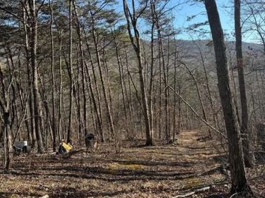 LOT 55 MORELAND GAP, NEW MARKET, VA 22844