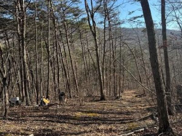 LOT 55 MORELAND GAP, NEW MARKET, VA 22844