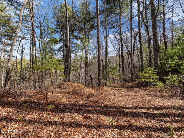 Lot 12 Paint Horse Way, Sevierville, TN 37876
