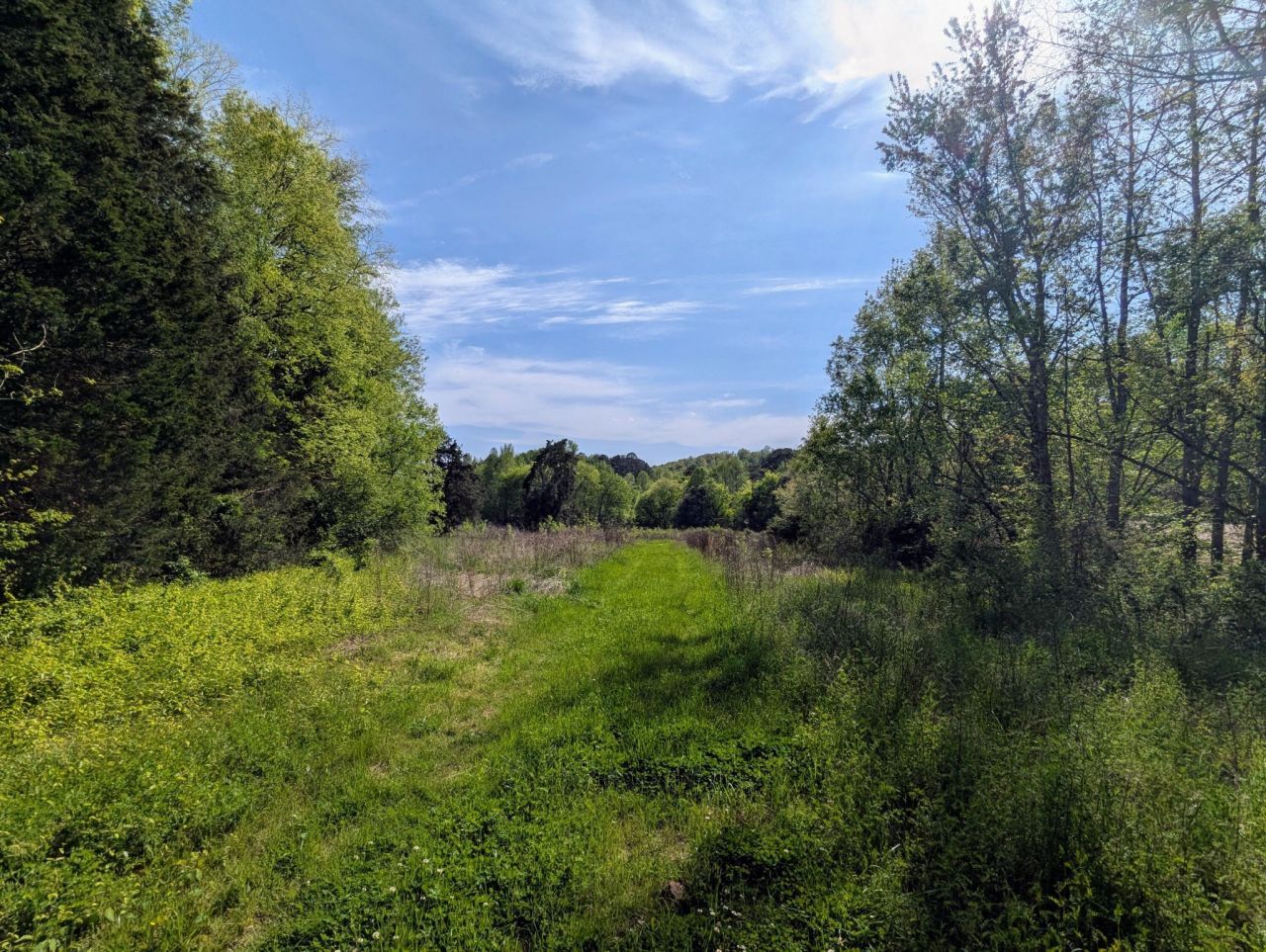 0 Ladd Springs Road , Oldfort, TN 37362 Main Photo