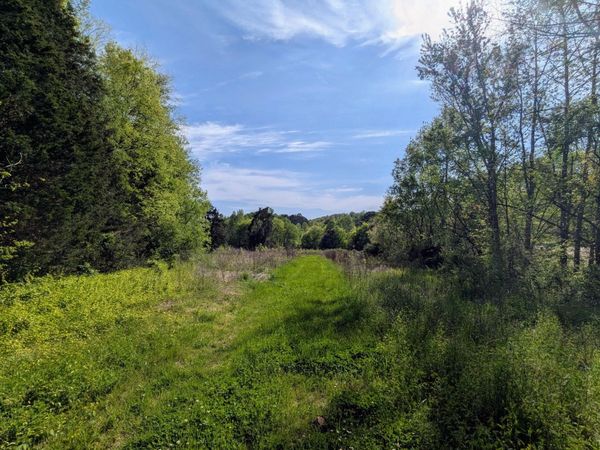 0 Ladd Springs Road , Old Fort, TN 37362