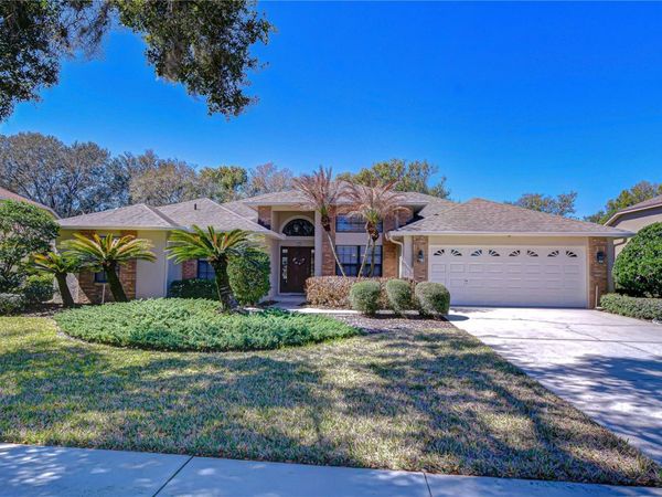3813 TURKEY OAK DRIVE , VALRICO, FL 33596