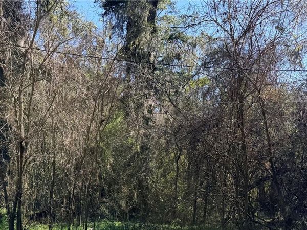 TBD PLATTED ROAD WAY, ALACHUA, FL 32615