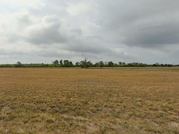 12252 TRIPLETAIL DRIVE , PLACIDA, FL 33946