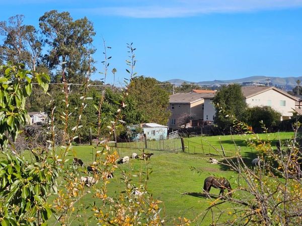 23022 Palazzo Del Kayla, Hayward, CA 94541