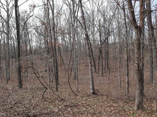 TBD Great Woods Rd, Mammoth Spring, AR 72554